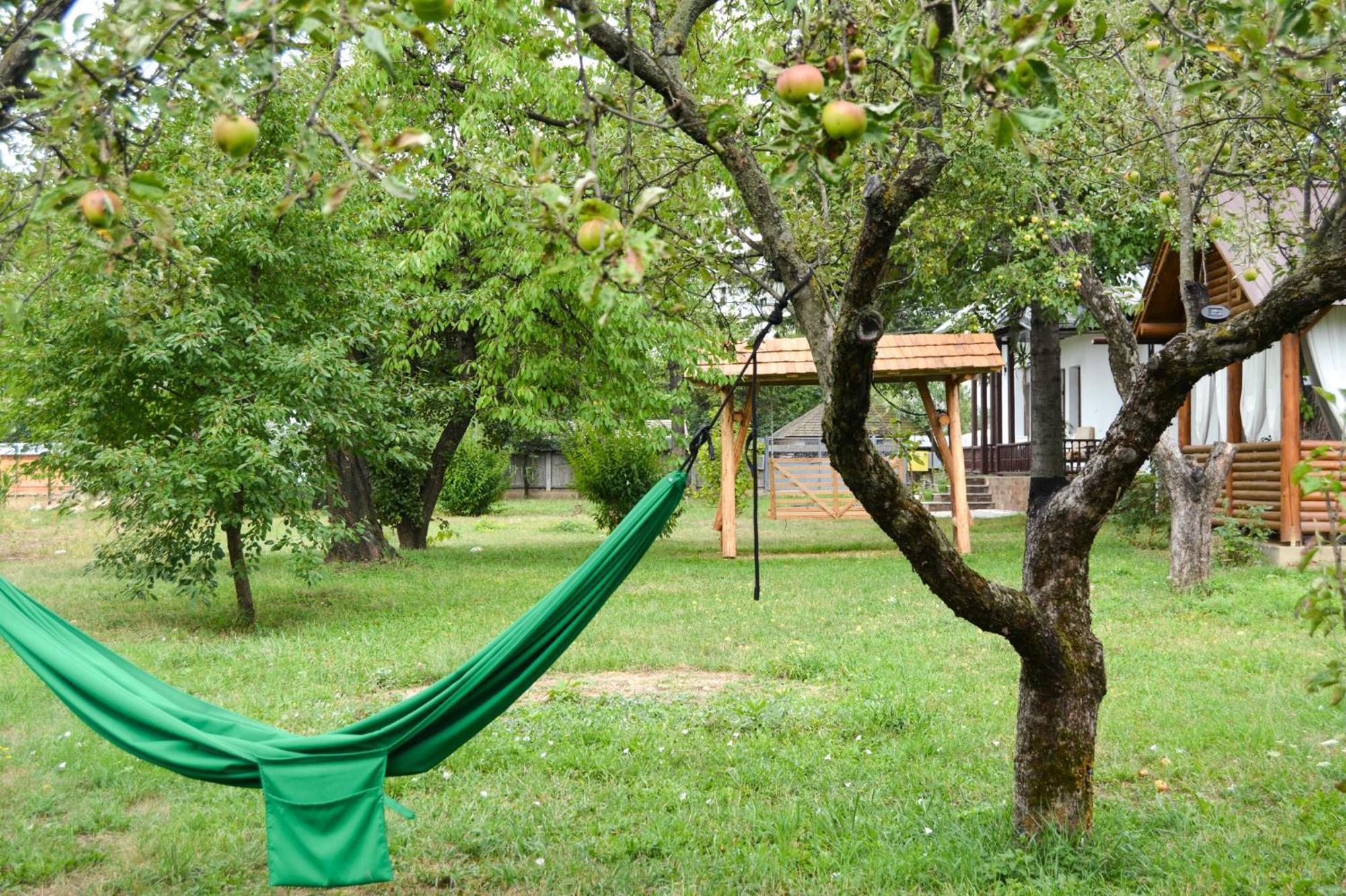 Villa Casa Humulesti, Fii Vecinul Lui Ion Creanga Târgu Neamţ Exterior foto